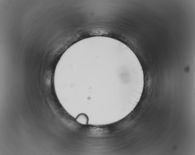 X0000115550315200912181559