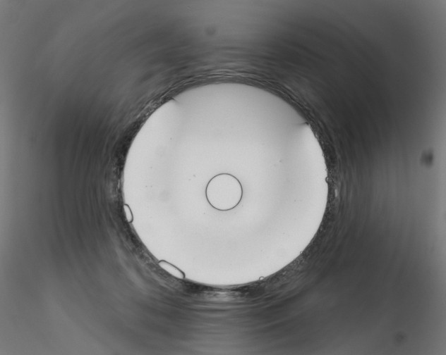 X0000115550316200912181559