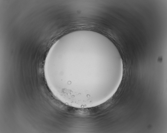 X0000115550317200912181559