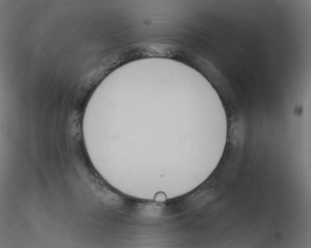 X0000115550318200912181559