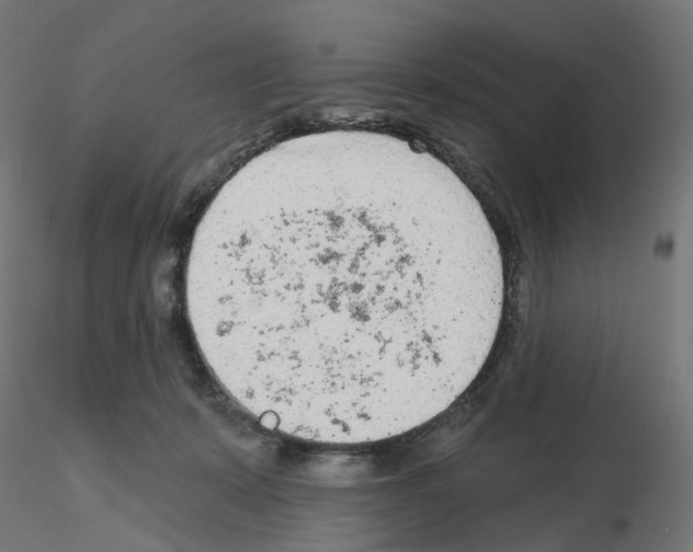 X0000115550319200912181559