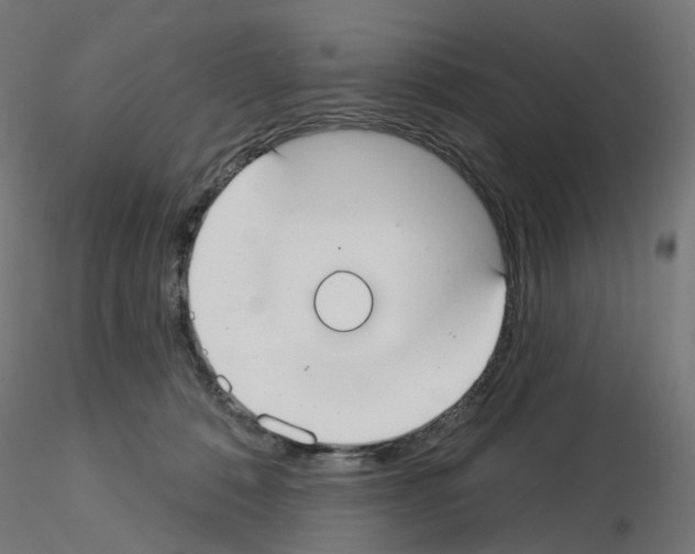 X0000115550320200912181559