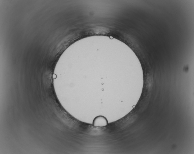 X0000115550321200912181559