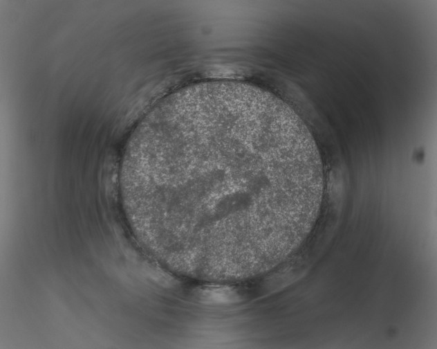 X0000115550322200912181559