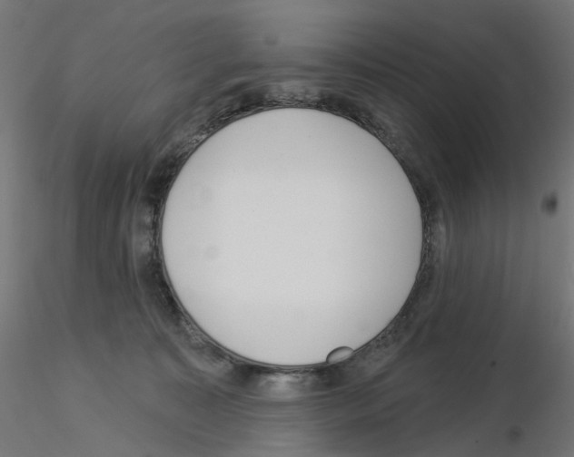 X0000115550323200912181559