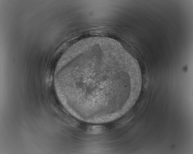 X0000115550324200912181559