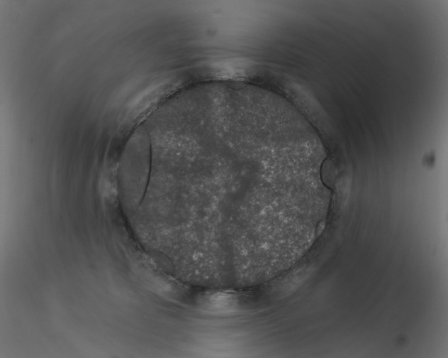 X0000115550325200912181559