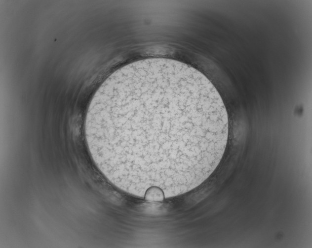 X0000115550326200912181559