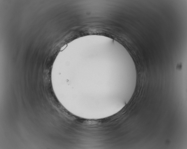 X0000115550327200912181559