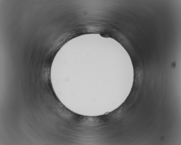 X0000115550329200912181559