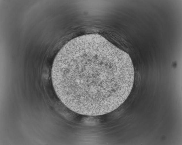 X0000115550331200912181559