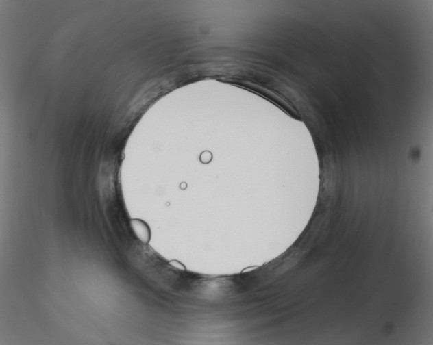 X0000115550333200912181559