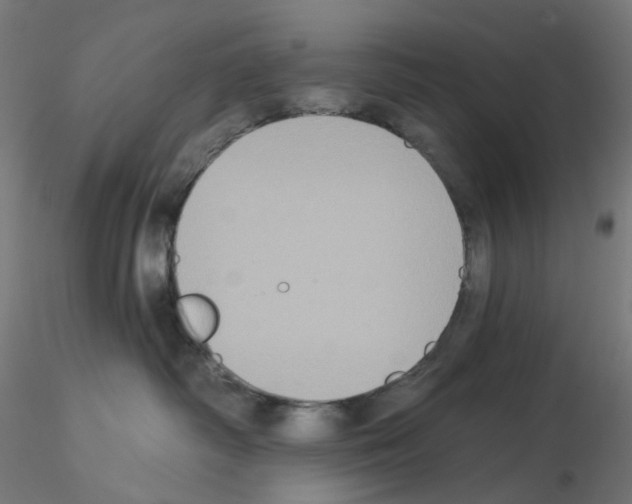 X0000115550334200912181559