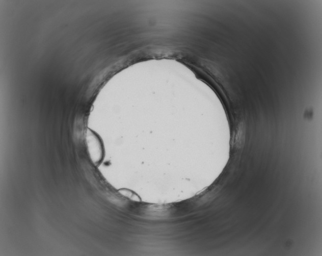 X0000115550335200912181559