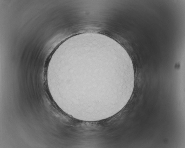 X0000115550338200912181558