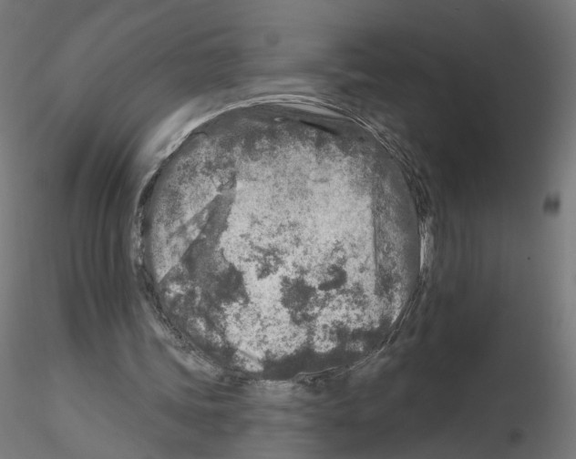 X0000115550339200912181558