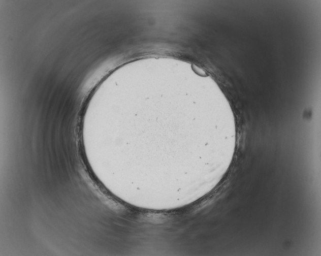 X0000115550341200912181558