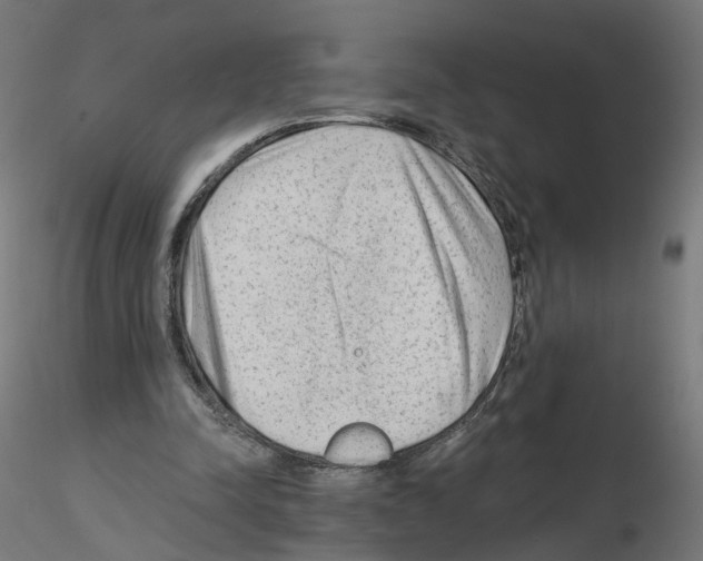 X0000115550342200912181558