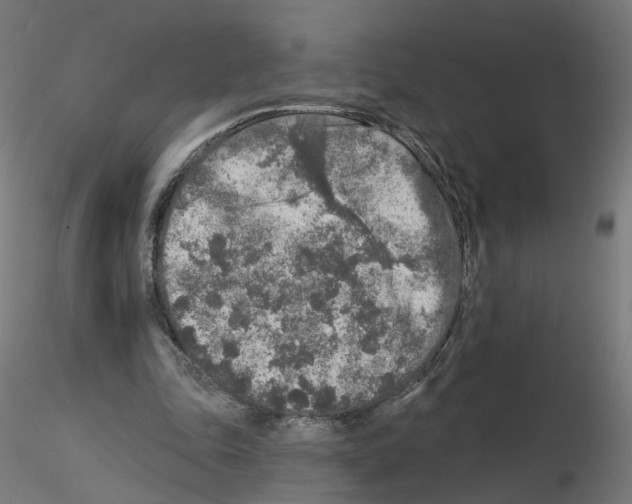 X0000115550343200912181558