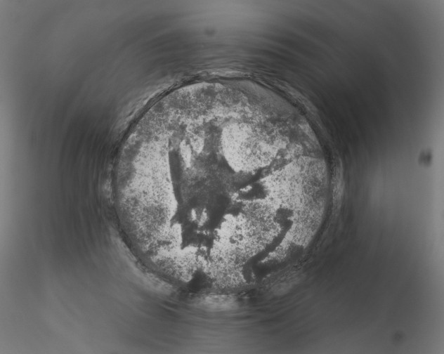 X0000115550353200912181558