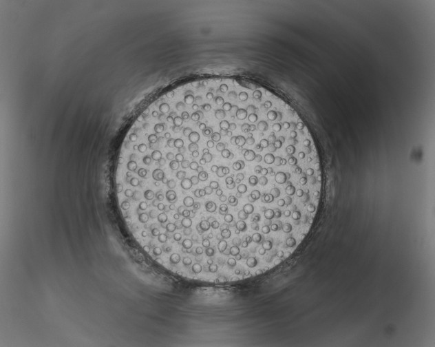 X0000115550354200912181558