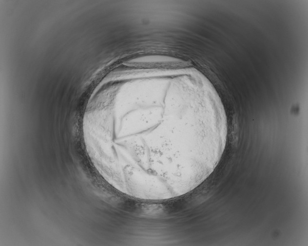 X0000115550355200912181558