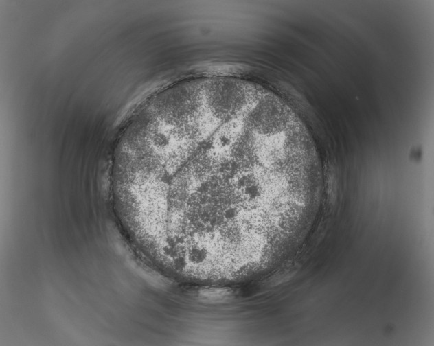 X0000115550357200912181558