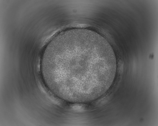 X0000115550358200912181558