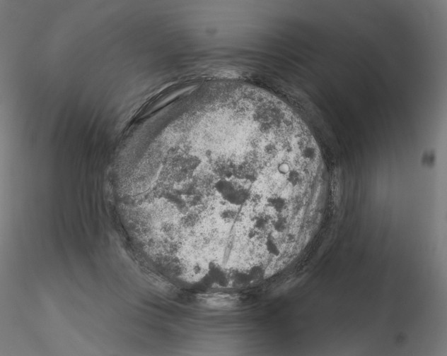 X0000115550359200912181558