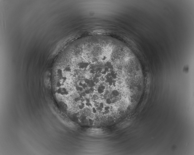 X0000115550361200912181558