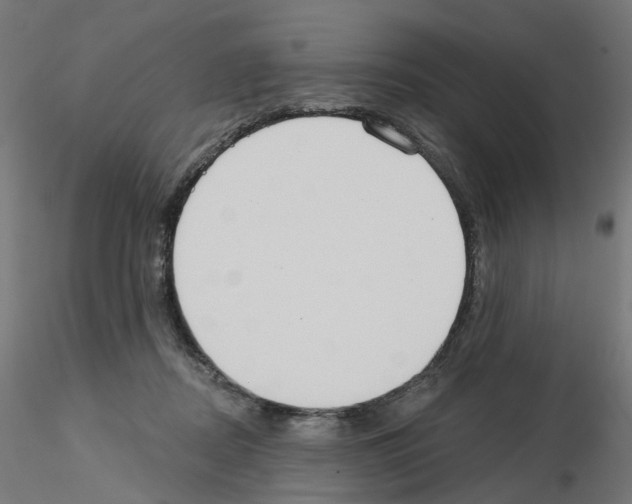 X0000115550362200912181558