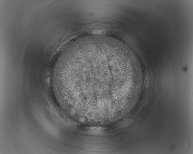 X0000115550363200912181558