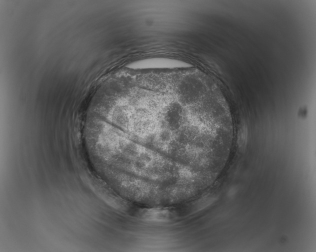 X0000115550366200912181558