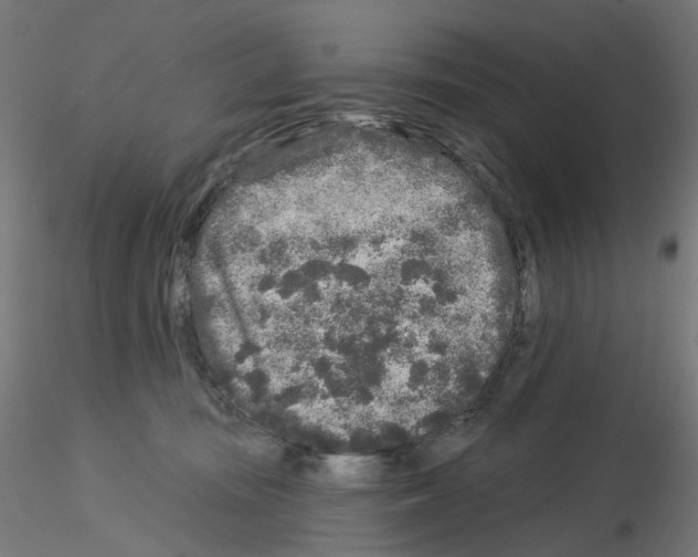 X0000115550371200912181558