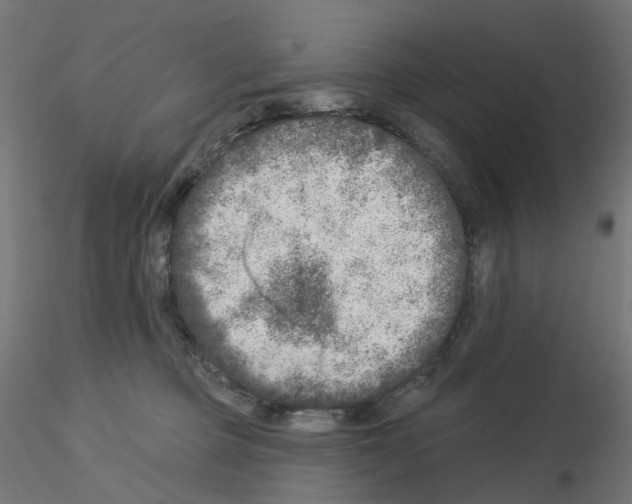 X0000115550373200912181558