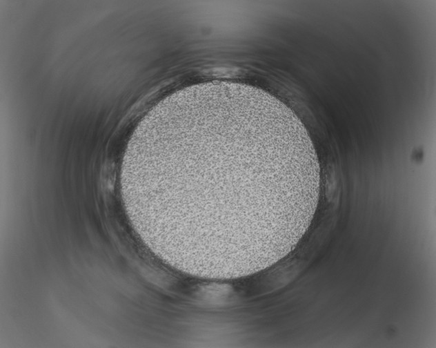 X0000115550374200912181558