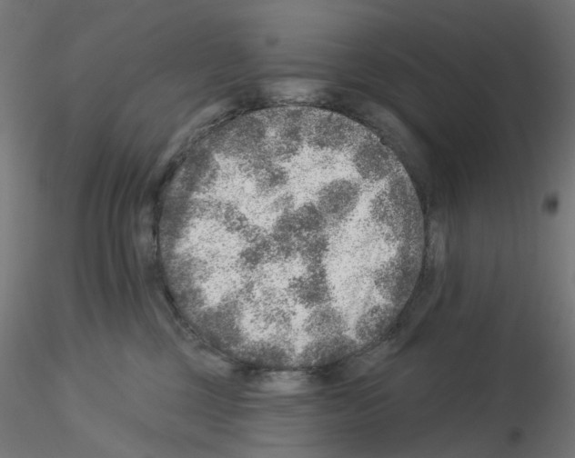 X0000115550377200912181558