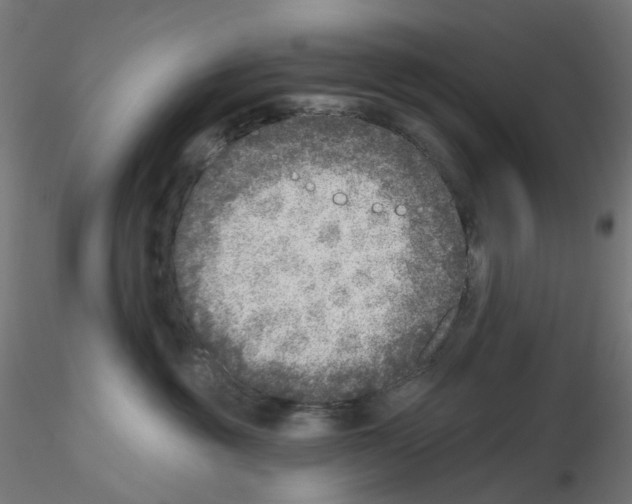 X0000115550381200912181558