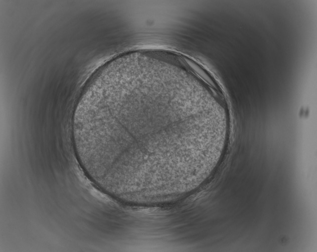 X0000115550385200912181558