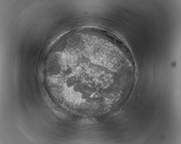 X0000115550386200912181558