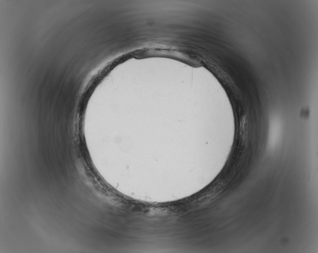 X0000115550388200912181558