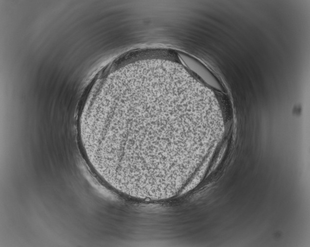 X0000115550389200912181558