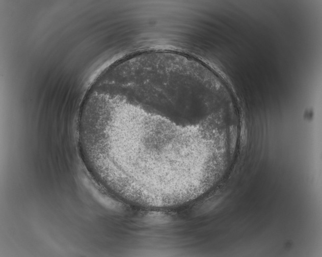 X0000115550390200912181558