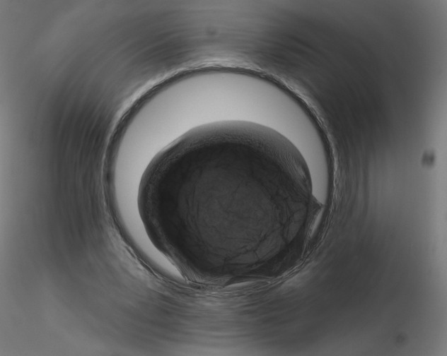 X0000115550391200912181558