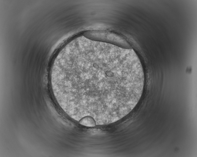 X0000115550392200912181558