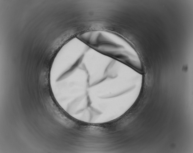 X0000115550393200912181558