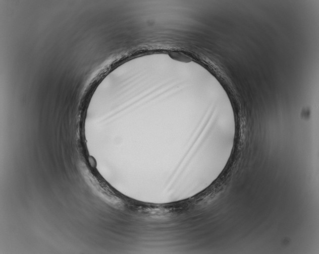 X0000115550395200912181558