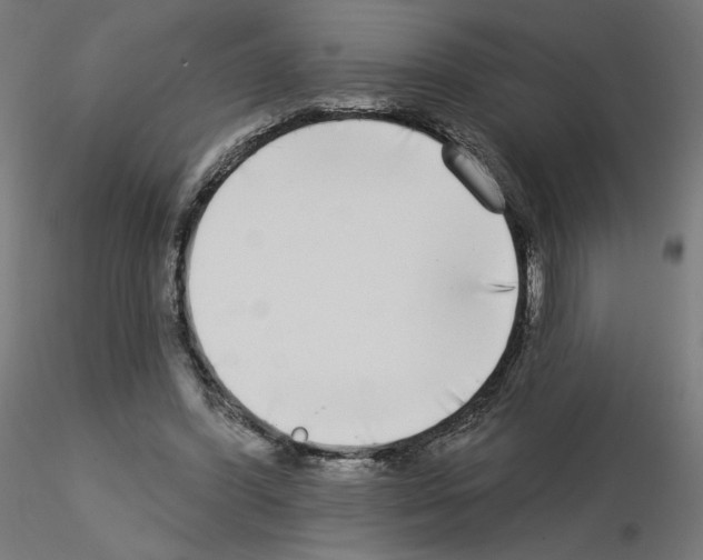 X0000115550396200912181558