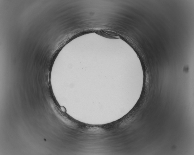 X0000115550397200912181558