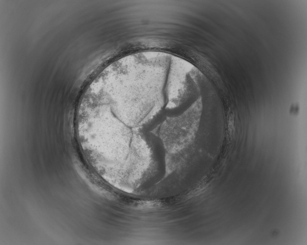 X0000115550398200912181558